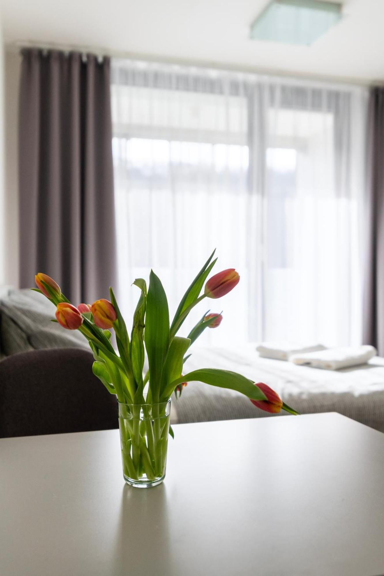 Apartment 12 Min Centrum, 200mb Wifi, Onsite Supermarket
